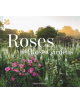 Roses and Rose Gardens - 9781911358688-thumb