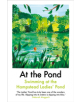 At the Pond - 9781911547396-thumb