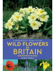 A Naturalist's Guide to the Wild Flowers of Britain and Northern Europe (2nd edition) - 9781912081141-thumb