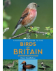 A Naturalist's Guide to the Birds of Britain and Northern Europe (2nd edition) - 9781912081219-thumb