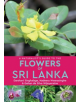 A Naturalist's Guide to the Flowers of Sri Lanka - 9781912081554-thumb