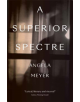 A Superior Spectre - 9781912235483-thumb