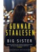 Big Sister - 9781912374199-thumb