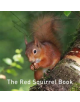 The Red Squirrel Book - 9781912654178-thumb