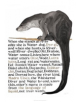 Jackie Morris The Names of the Otter Poster - Graffeg Limited - 9781912654482-thumb