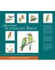 Fascinating Australian Birds - 9781921596735-thumb