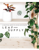 Leaf Supply - 9781925418637-thumb