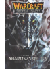 WarCraft: The Sunwell Trilogy #2: Shadows of Ice - 9781945683190-thumb