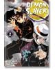 Demon Slayer Kimetsu no Yaiba, Vol. 2 It Was You - Koyoharu Gotouge - Viz Media - 9781974700530-thumb