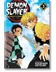 Demon Slayer Kimetsu no Yaiba, Vol. 3-thumb