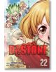 Dr. STONE, Vol. 22-thumb