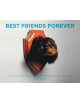 Best Friend Forever - 9782374950822-thumb