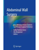 Abdominal Wall Surgery - 9783030024253-thumb