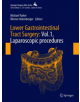 Lower Gastrointestinal Tract Surgery: Vol.1, Laparoscopic procedures - 9783030052393-thumb