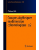 Groupes Algebriques Semi-Simples En Dimension Cohomologique - 9783030172718-thumb