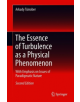 The Essence of Turbulence as a Physical Phenomenon - 9783319995304-thumb