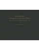 Einflufelder orthogonal anisotroper Platten / Influence surfaces of orthogonal anisotropic plates - 9783642490200-thumb