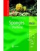 Sponges (Porifera) - 9783642624711-thumb