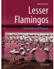 Lesser Flamingos - 9783662581629-thumb