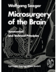 Microsurgery of the Brain - 9783709130964-thumb