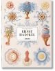 Haeckel - Julia Voss - TASCHEN - 9783836526463-thumb