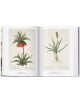 Redouté. The Book of Flowers. 40th Ed.-4-thumb