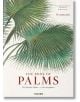 Martius. The Book of Palms - H. Walter Lack - TASCHEN - 9783836566148-thumb