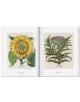 A Garden Eden. Masterpieces of Botanical Illustration-3-thumb