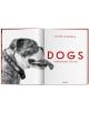 Walter Chandoha. Dogs. Photographs 1941-1991-4-thumb