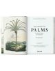 Martius. The Book of Palms. 40th Ed.-6-thumb