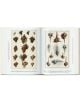 Seba. Cabinet of Natural Curiosities. 40th Ed.-2-thumb