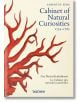 Seba. Cabinet of Natural Curiosities. 40th Ed.-1-thumb