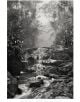 Sebastiаo Salgado. Amazônia. Poster ‘Creek’-1-thumb