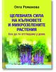 Целебната сила на кълновете и микрозелените растения - Олга Романова - Паритет - 9786191535743-thumb