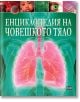 Енциклопедия на човешкото тяло - Клеър Хибърт - Момиче, Момче - Пан - 9786192408237-thumb