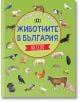 Албум със стикери. Животните в България: На село - Костадин Костадинов - Пан - 9786192408831-thumb