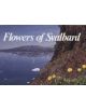 Flowers of Svalbard - 9788251915298-thumb