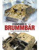 Sturmpanzer Iv BrummbaR - 9788364596322-thumb