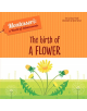 The Birth of a Flower - 9788854414044-thumb