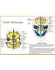 Cranial Reflexology -- A4 - 9789070281564-thumb