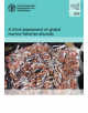 A third assessment of global marine fisheries discards - 9789251312261-thumb