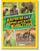 Невероятна книга за африканските животни - Колектив - Егмонт - 9789542728092-thumb