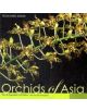 Orchids of Asia - 9789812617620-thumb