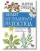 Билки от градината на Господ - Мария Требен - Кибеа - 9789544747978-thumb