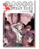 Bungo Stray Dogs, Vol. 12-thumb