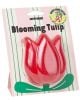 Чорапи Eat My Socks - Blooming Tulip - Eat My Socks - Eat My Socks - Жена, Момиче - 8436602103368-1-thumb