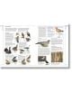 Complete Birds of Britain and Europe - Rob Hume - Жена, Мъж - DK Publishing - 9780241412701-4-thumb