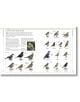 Complete Birds of Britain and Europe - Rob Hume - Жена, Мъж - DK Publishing - 9780241412701-8-thumb