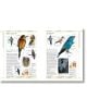 Complete Birds of Britain and Europe - Rob Hume - Жена, Мъж - DK Publishing - 9780241412701-9-thumb