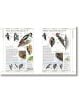 Complete Birds of Britain and Europe - Rob Hume - Жена, Мъж - DK Publishing - 9780241412701-10-thumb